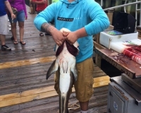 48.5" 32 lb Cobia Caught 5/17/18 by Adam Tarkowski on the Super Voyager III 1/2 day