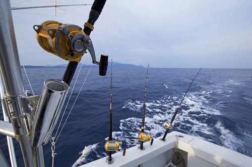 fishing charter