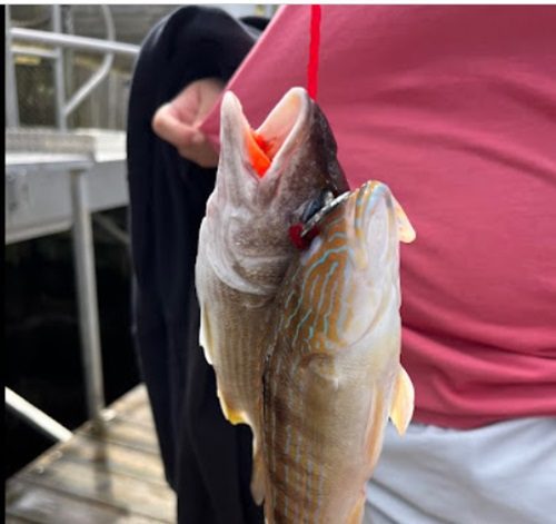 deep sea fishing in Myrtle Beach SC