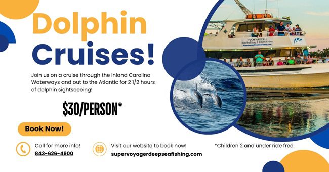 Dolphin Cruise in Myrtle Beach SC
