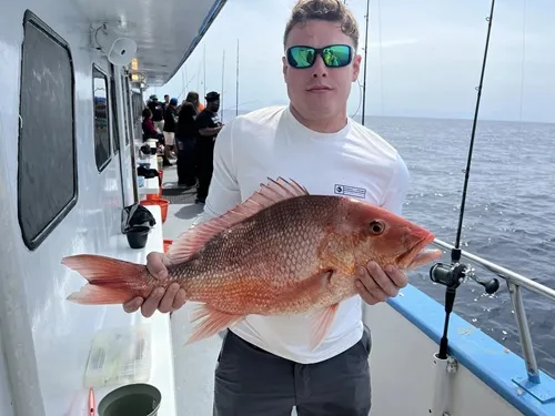 Person holding a large red fish on a boat with fishing rods and ocean in background.