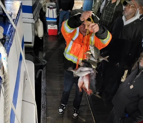 Person in orange jacket holding several fish on a dock with others nearby.