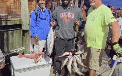 Deep Sea Fishing for Beginners: 7 Questions to Ask Before Booking