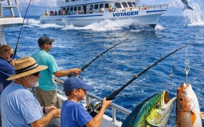 What To Expect When You Go Deep Sea Fishing