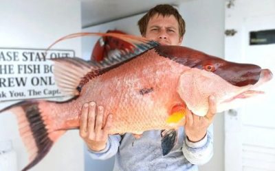 Why Deep Sea Fishing Is One Of The Most Exciting Ocean Adventures