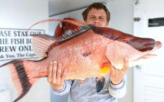 Why Deep Sea Fishing Is One Of The Most Exciting Ocean Adventures