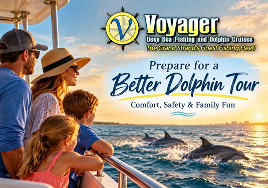 How to Prepare for a Dolphin Tour in Myrtle Beach: Tips for a Better Trip