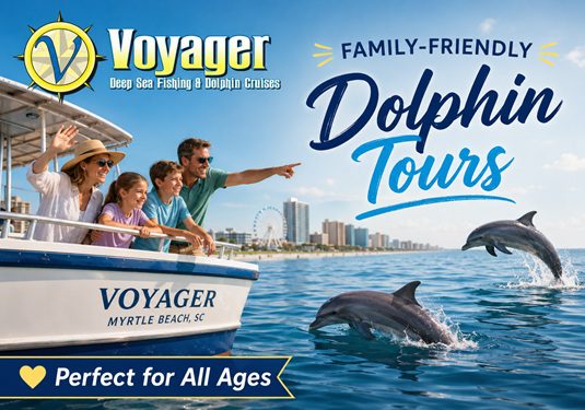 Family-Friendly Fun: Why Dolphin Tours Are Perfect for All Ages