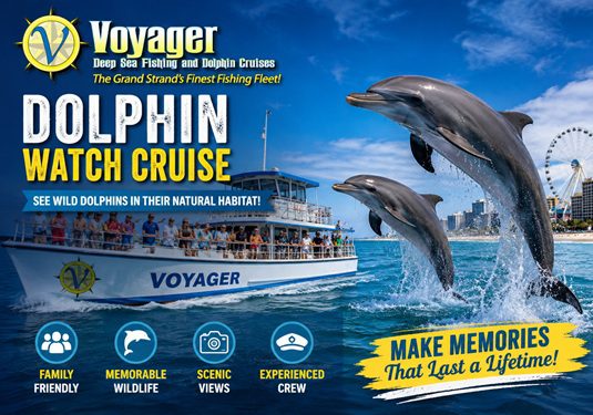 Get the Most from a Dolphin Watch Cruise: Tips for an Unforgettable Coastal Adventure