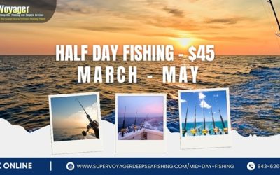 When is the best time to go fishing?