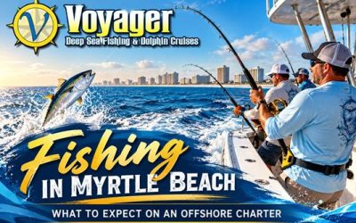 Fishing in Myrtle Beach: What to Expect on an Offshore Charter