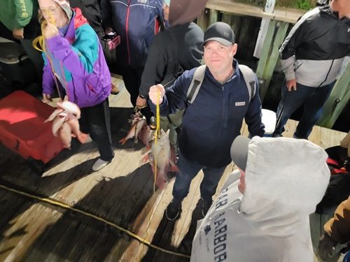 Why You Should Take Your Child on a Deep Sea Fishing Trip