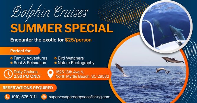 Dolphin Cruise Tour: The Adventure You Didn’t Know You Needed