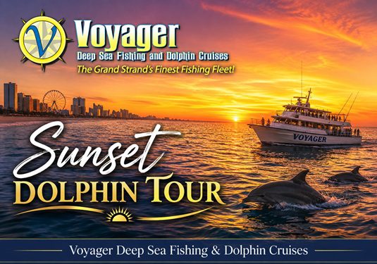 Sunset Dolphin Tour: A Relaxing Summer Evening on the Water